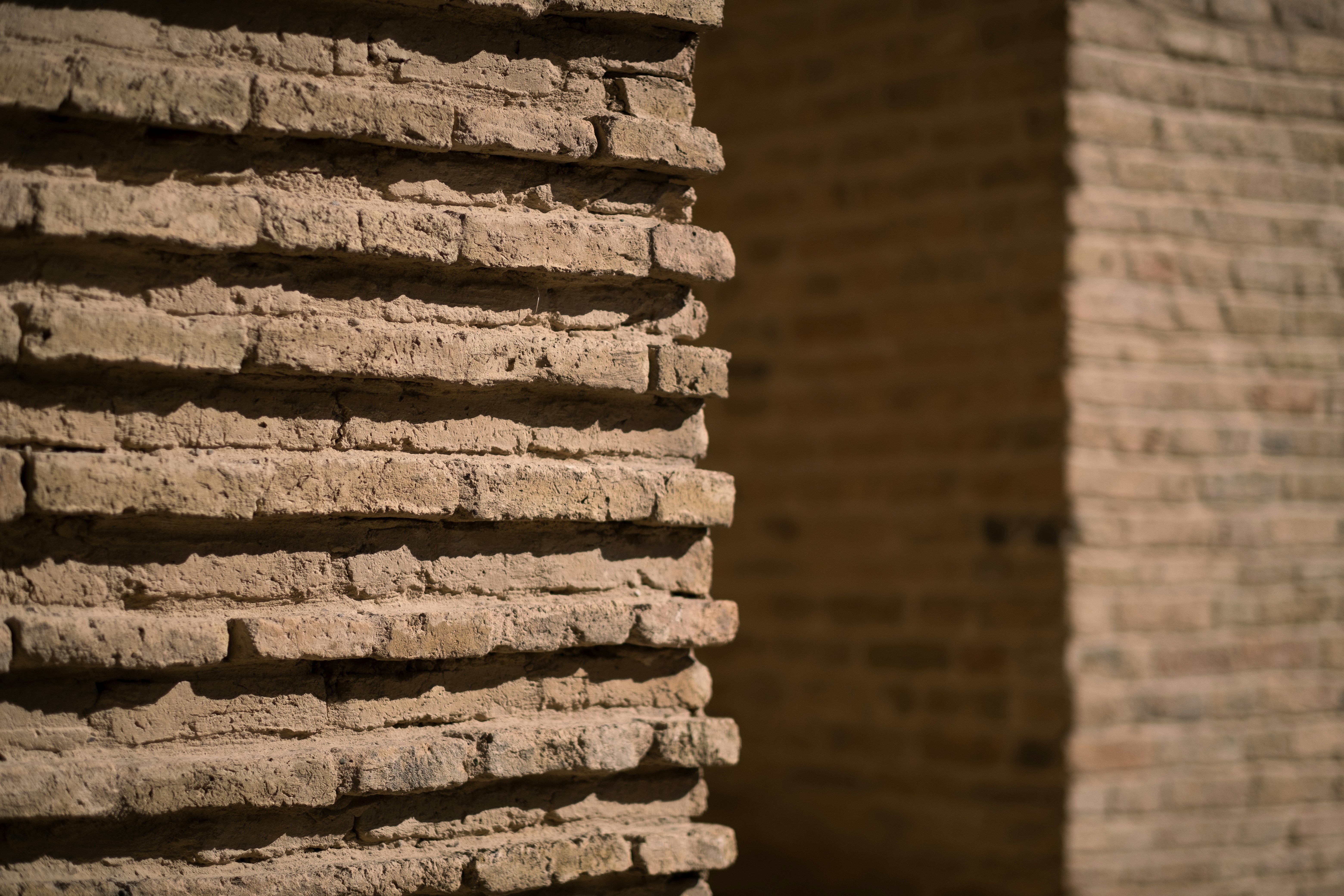 brown brick wall in close up photography